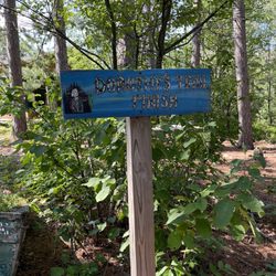 Dorothy Molter Museum