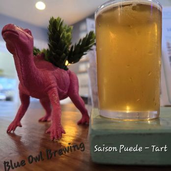 Blue Owl Brewing - Breweries Near Me - Austin, Texas