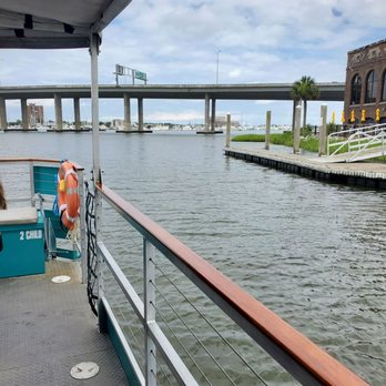 Saltwater Cycle - Boat Tours Near Me - Charleston, South Carolina Saltwater Cycle - Boat Tours Near Me - Charleston, South Carolina