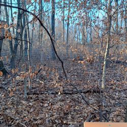 Mariton Wildlife Sanctuary - On the Turnpike Trail