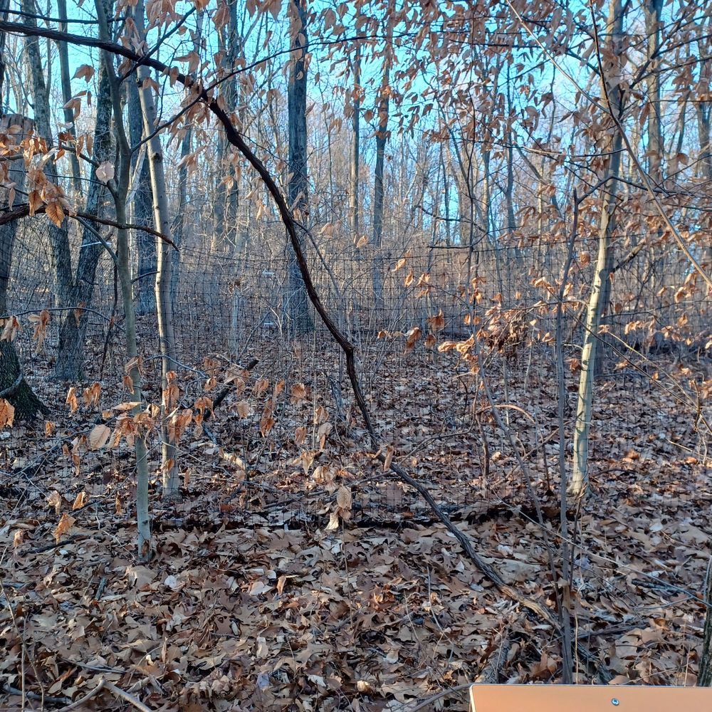 Mariton Wildlife Sanctuary Image