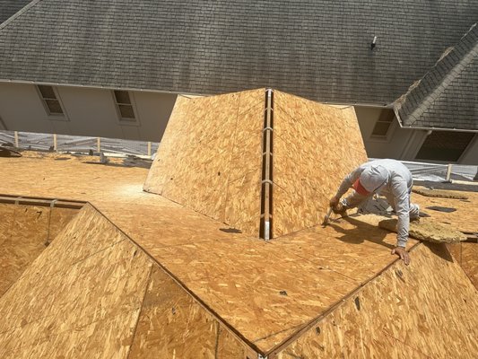 Palmetto Pride Roofing Logo