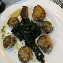 Scallops Scallops