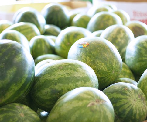 Canino Produce by null