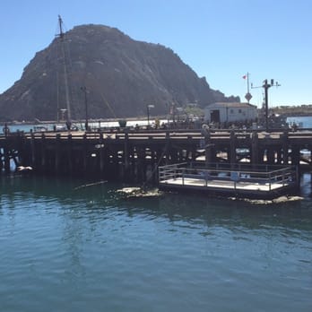 Tognazzini's Dockside Too - Seafood Near Me - Morro Bay, California Tognazzini's Dockside Too - Seafood Near Me - Morro Bay, California