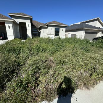 Guillermo’s Lawn Service - Before - Lawn Services Near Me Guillermo’s Lawn Service - Before - Lawn Services Near Me