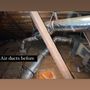 Attic Texas