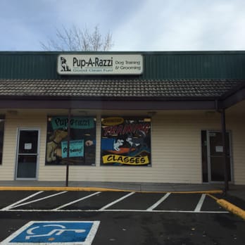 Pup-A-Razzi - Pet Training Near Me - Beaverton, Oregon