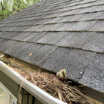 Dr. Pest Solutions - What a customers gutters look like without gutter guards - Pest Control Near Me - Cumming, Georgia Dr. Pest Solutions - What a customers gutters look like without gutter guards - Pest Control Near Me - Cumming, Georgia