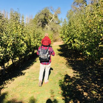 Clearview Orchards - Farmers Market Near Me - Watsonville, California