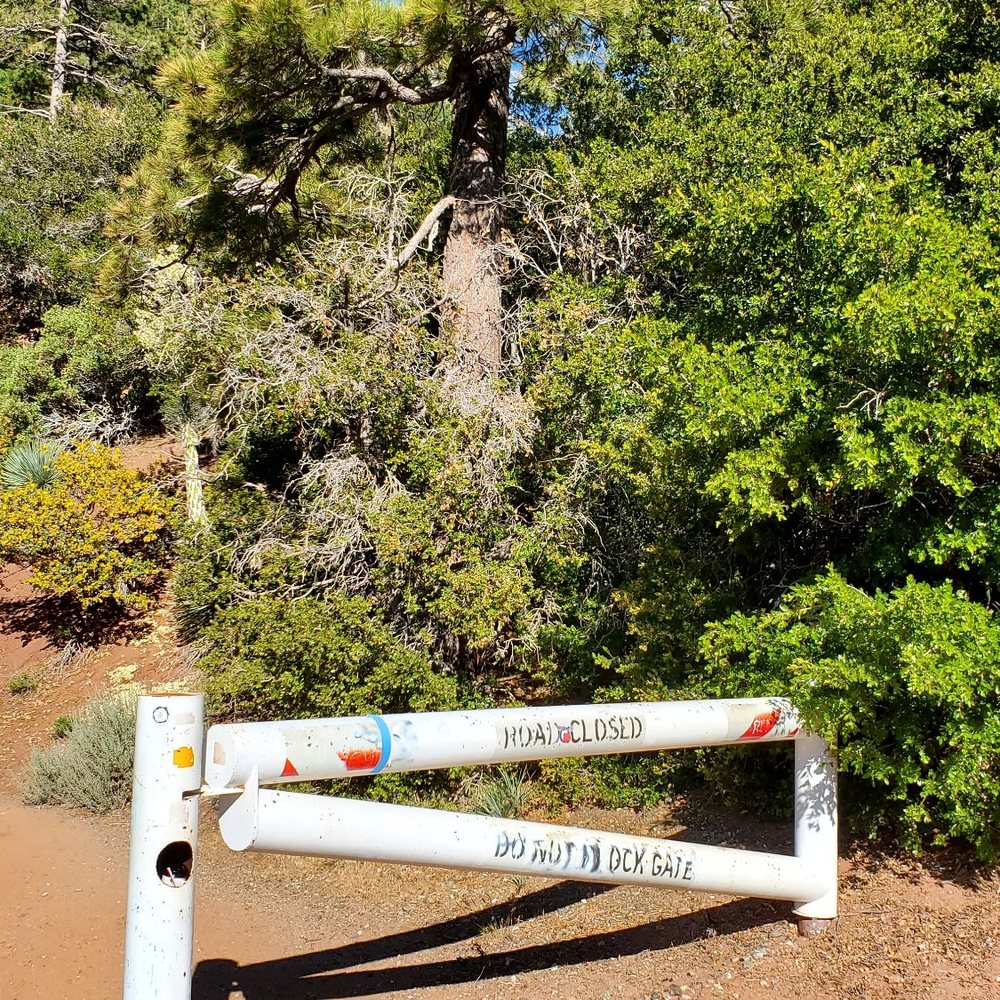 Trail starts behind this white gate Trail starts behind this white gate