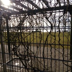 Wandlitzer See - See hinter Gittern