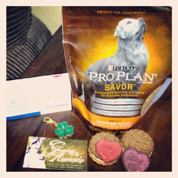 Petco - A to go bag that the groomer (Amanda) sent home with my dog. Such a cute addition and my dog wolfed down those cookies. - Pet Stores Near Me - Las Vegas, Nevada Petco - A to go bag that the groomer (Amanda) sent home with my dog. Such a cute addition and my dog wolfed down those cookies. - Pet Stores Near Me - Las Vegas, Nevada