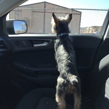 All Angels Pet Salon - Pet Groomers Near Me - Rio Rancho, New Mexico All Angels Pet Salon - Pet Groomers Near Me - Rio Rancho, New Mexico