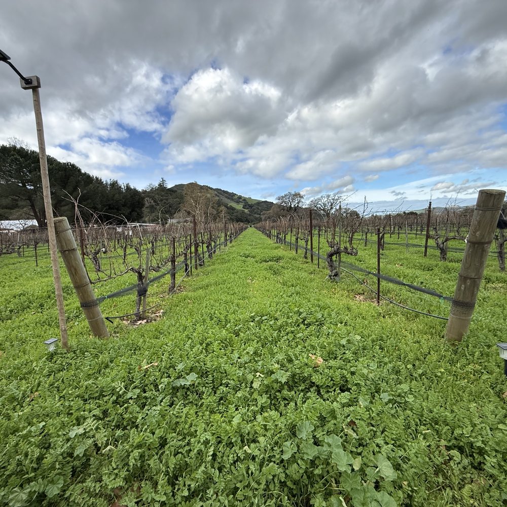 Vega Vineyard and Farm - Vega VIneyards - Wineries Near Me - Buellton, California