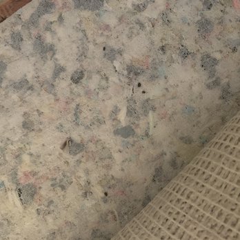 Elm Hollow - Beetles in carpet pad - Apartments Near Me - Helotes, Texas