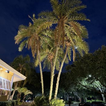 Bahama Breeze - Bars Near Me - Orlando, Florida