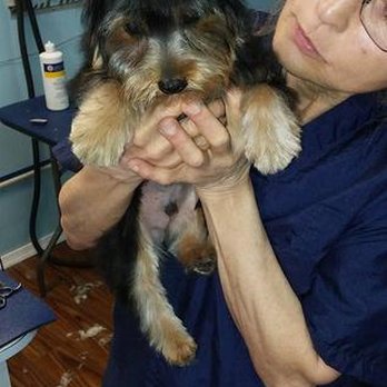 Canine Grooming Shoppe - untitled - Pet Groomers Near Me - Bethlehem, Pennsylvania