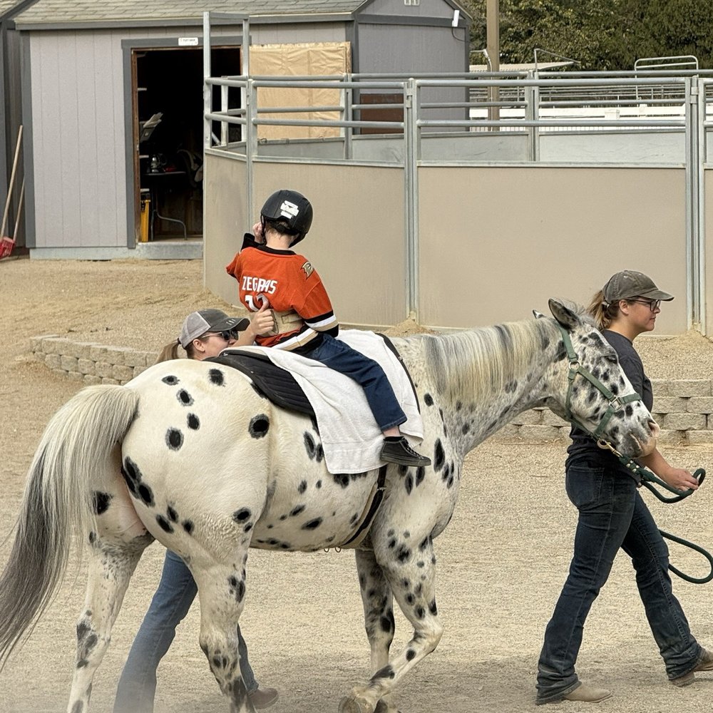 My son during hippotherapy My son during hippotherapy