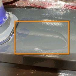 Frederick Home Inspection Services - Active leak in heating system