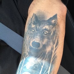 A wolf? No that's a dog...