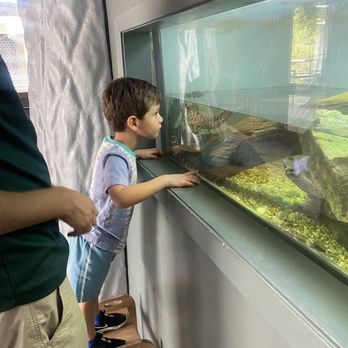 Austin Nature & Science Center - Alligator exhibit - Zoos Near Me - Austin, Texas Austin Nature & Science Center - Alligator exhibit - Zoos Near Me - Austin, Texas
