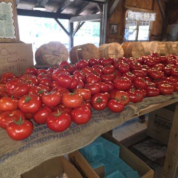 Goodwin Bros Farm Stand - Tomatoes - Farmers Market Near Me - North Smithfield, Rhode Island