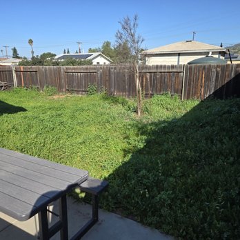 Zeke’s Gardening Services - Before - Lawn Services Near Me - Lemon Grove, California Zeke’s Gardening Services - Before - Lawn Services Near Me - Lemon Grove, California