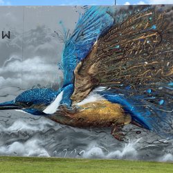 Exploding Kingfisher