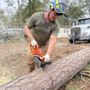 Photo of Paradise Landscaping & Tree Removal