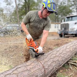 Paradise Landscaping & Tree Removal