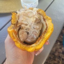 Donkey Mill Chocolate and Coffee Farm