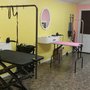 Photo of Custom Grooming