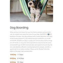 Hunter’s World - Dog Boarding!