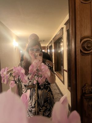 Hotel Boulderado by null