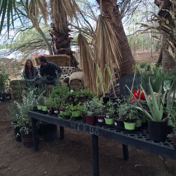 Singh Meadows - Farmers Market Near Me - Tempe, Arizona Singh Meadows - Farmers Market Near Me - Tempe, Arizona
