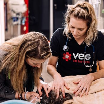 VEG ER for Pets - VEG veterinarians tending to patient - Emergency Pet Hospital Near Me - Houston, Texas