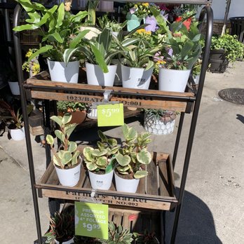 Gelson's Pacific Beach - Delis Near Me - San Diego, California
