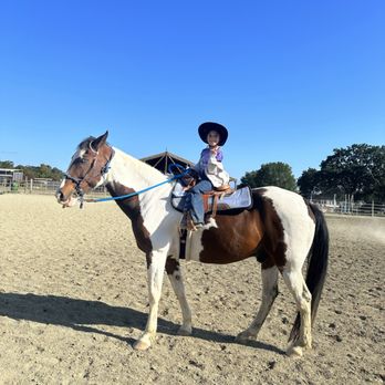 Painted Star Equestrian - Pictured on lesson horse Bullseye while waiting for her turn on the pattern - Horseback Riding Near Me - Gilroy, California Painted Star Equestrian - Pictured on lesson horse Bullseye while waiting for her turn on the pattern - Horseback Riding Near Me - Gilroy, California