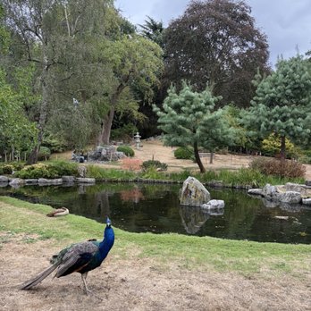 Holland Park - Parks Near Me - London, XGL Holland Park - Parks Near Me - London, XGL