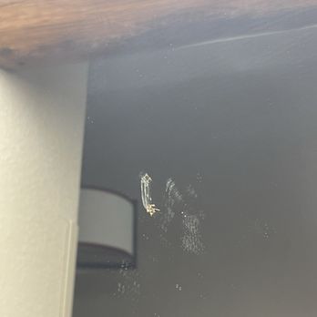Great Wolf Lodge - Gnats flying around and a dead one on the mirror - Resorts Near Me - Mason, Ohio Great Wolf Lodge - Gnats flying around and a dead one on the mirror - Resorts Near Me - Mason, Ohio