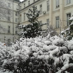 Všeobecná fakultní nemocnice v Praze - Pod peřinou