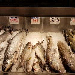 Rainbow Fish Market