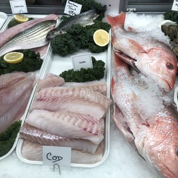 Captain Andy's Market - Some of the fresh fish available today, I got one of the snappers - Seafood Markets Near Me - Wyndmoor, Pennsylvania Captain Andy's Market - Some of the fresh fish available today, I got one of the snappers - Seafood Markets Near Me - Wyndmoor, Pennsylvania