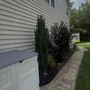 Dorsey Bros Power Washing