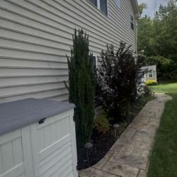 Dorsey Bros Power Washing - Walkway to the back, siding, trash bin