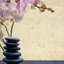 Foot Reflexology $70 per hour. - If you are looking for a relaxing spa in Northampton, MA, come to The Pure Massage & Spa! Foot Reflexology $70 per hour. - If you are looking for a relaxing spa in Northampton, MA, come to The Pure Massage & Spa!