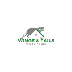 Wings & Tails Wildlife