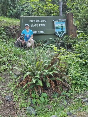 Dosewallips State Park by null