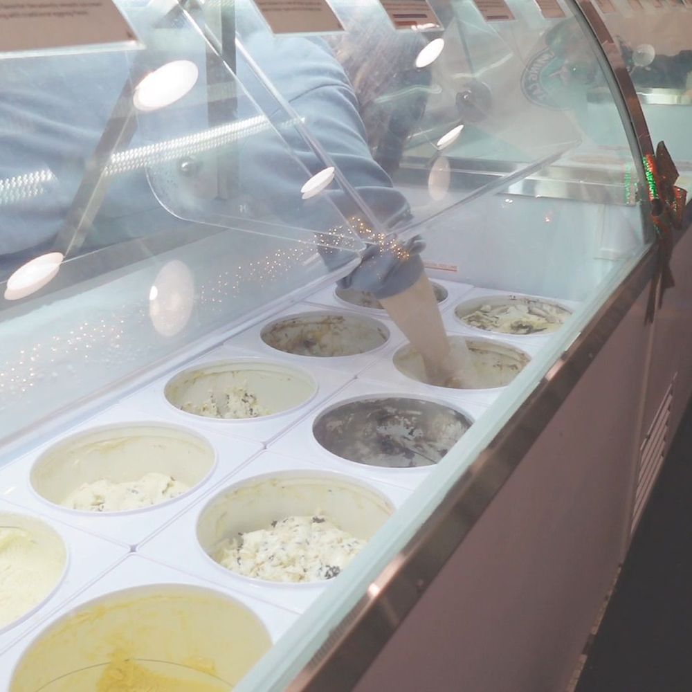 Screaming Cat Ice Cream & Coffee - Coffee & Tea Near Me - Jacksonville, Florida Screaming Cat Ice Cream & Coffee - Coffee & Tea Near Me - Jacksonville, Florida